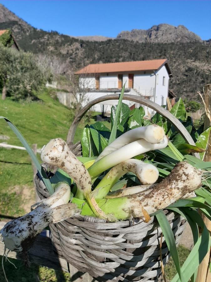 הוילה מלה Agriturismo Grilla מראה חיצוני תמונה