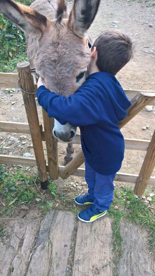הוילה מלה Agriturismo Grilla מראה חיצוני תמונה
