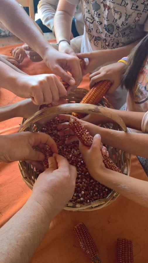 הוילה מלה Agriturismo Grilla מראה חיצוני תמונה