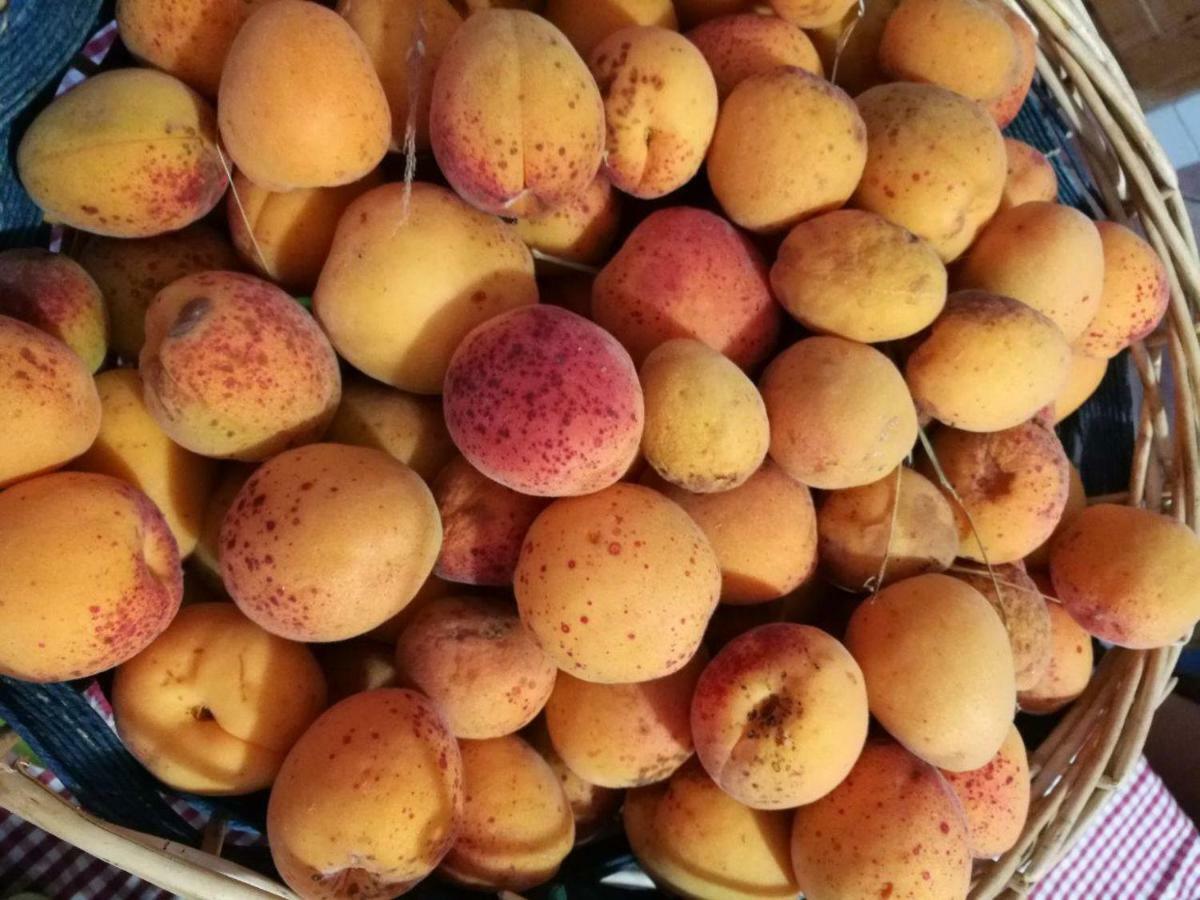הוילה מלה Agriturismo Grilla מראה חיצוני תמונה