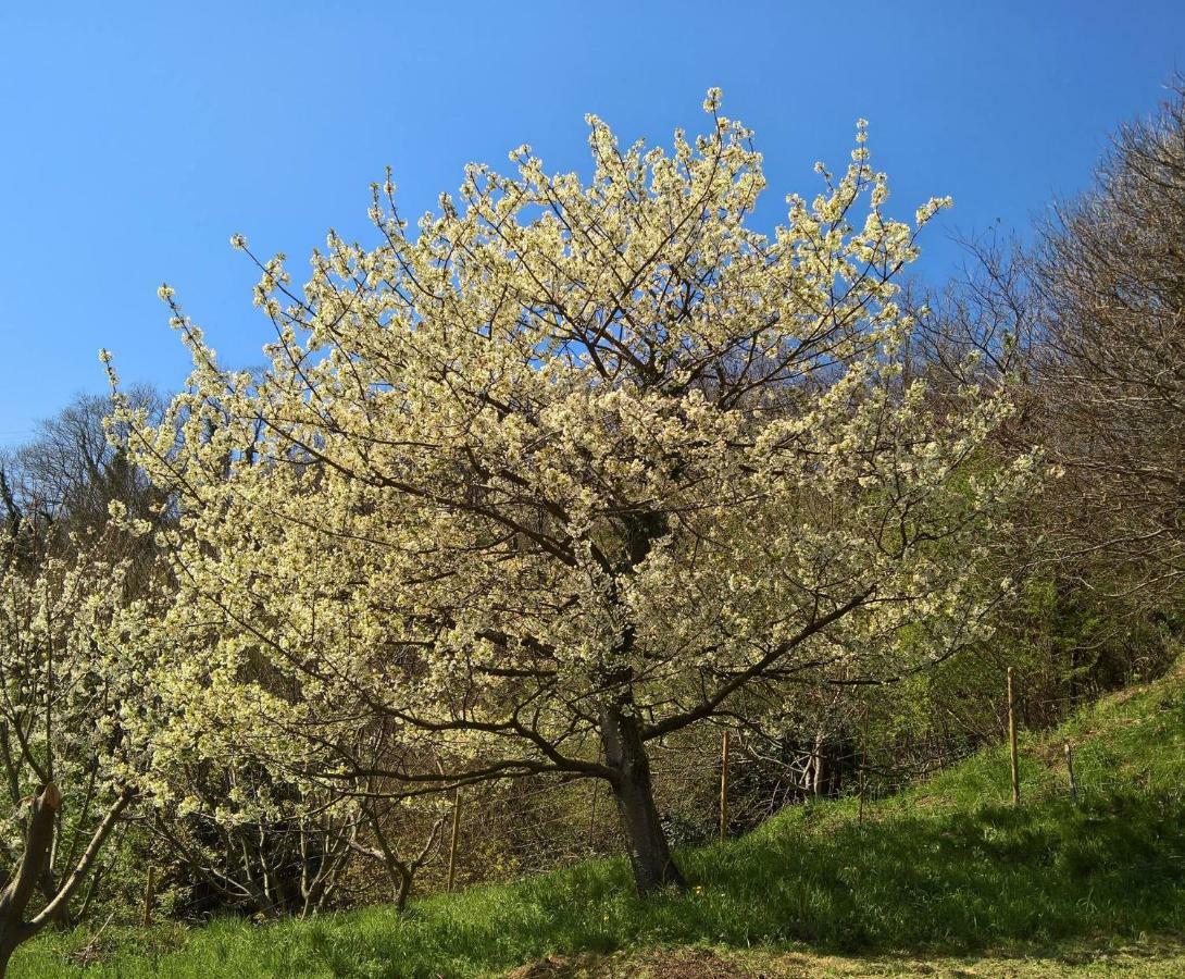 הוילה מלה Agriturismo Grilla מראה חיצוני תמונה