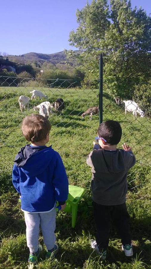 הוילה מלה Agriturismo Grilla חדר תמונה