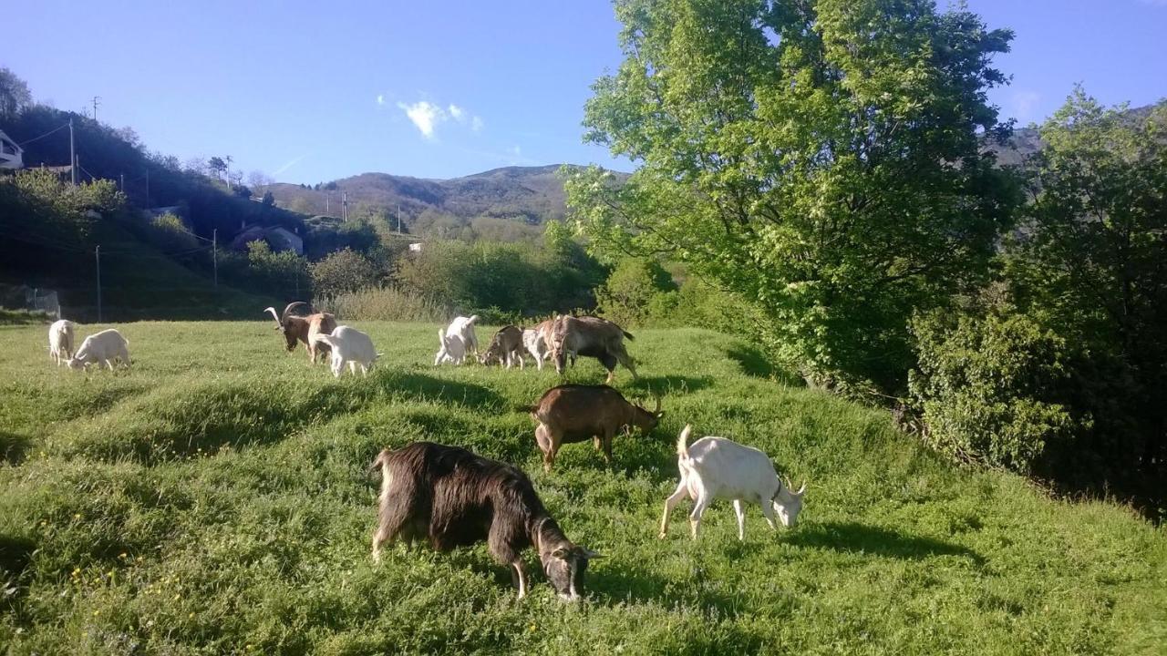 הוילה מלה Agriturismo Grilla חדר תמונה